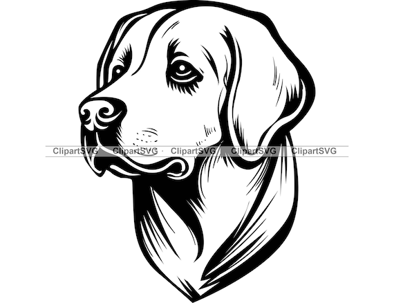 Labrador cartoon best sale images