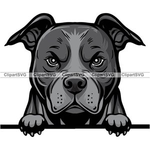 Zwarte Pit Bull Terriër gluren hond gemiddelde gezicht Puppy Canine huisdier Amerikaanse Pitbull blauwe neus ras tekening Art Logo Tattoo Design SVG PNG knippen