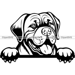 Bordeauxdog glimlachend gluren hond schattig puppy gezicht hond huisdier Bullmastiff dierlijke poot portret tekening kunst logo tattoo ontwerp SVG PNG knippen