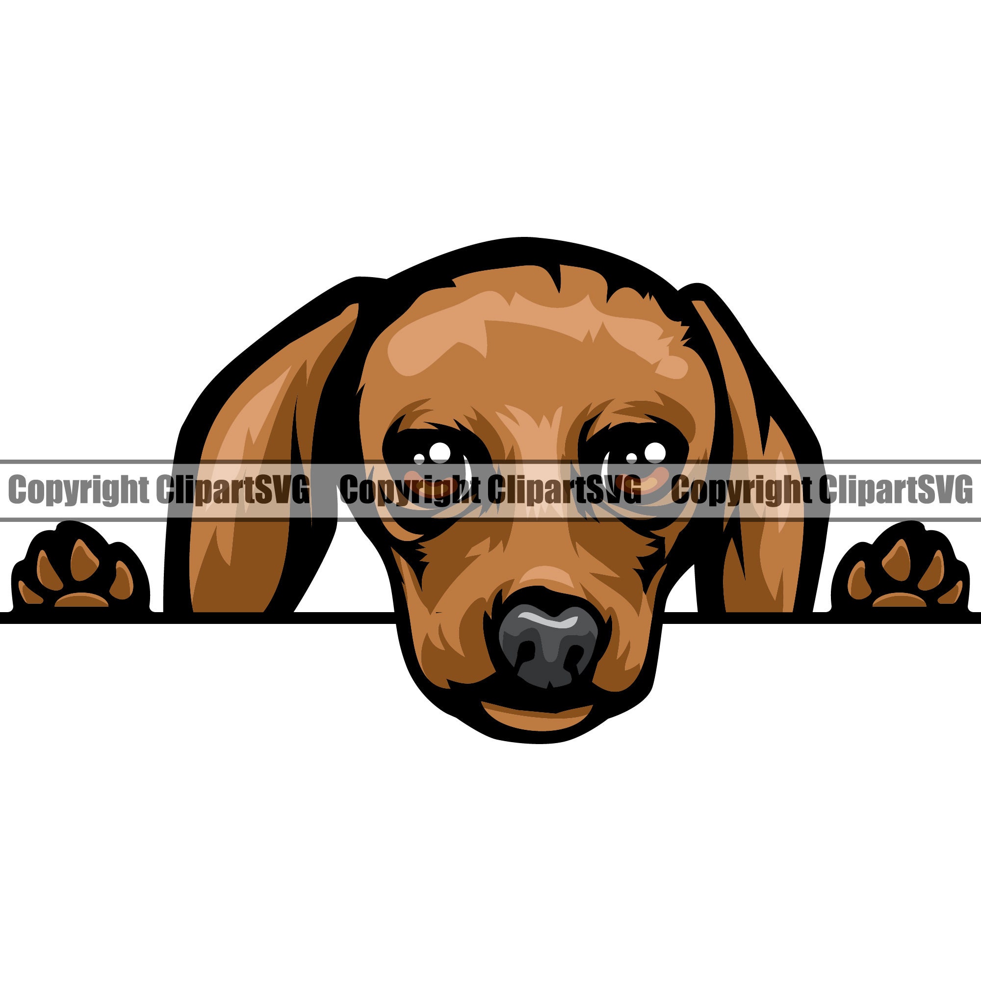 Dachshund Dog Peeking Peek-a-boo Smiling Breed Paw Puppy Pup - Etsy Denmark Dachshund Dog Peeking Peek-a-boo Smiling Breed Paw Puppy Pup - Etsy Denmark