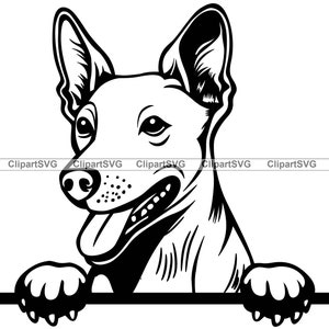 Basenji Smiling Peeking Dog Head Puppy Face Canine Breed Pet Portrait Paw Print Cartoon Drawing Art Logo Tattoo Design SVG PNG Cut Cutting