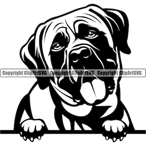 Mastiff hondenras gluren Peek-A-Boo Happy Puppy Pup huisdier K-9 Bullmastiff Bulldog Dogue De Bordeaux Logo SVG PNG Clipart Vector knippen snijden