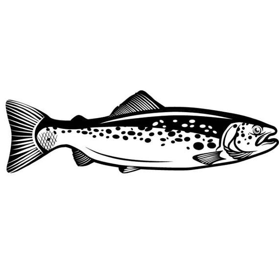 Download Trout Fish 1 Fly Fisherman Fishing Fisherman Tournament ...