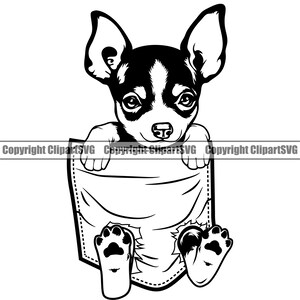 Chihuahua Hunderasse Pfote hängend Shirt Tasche Welpe Welpe Haustier Kunst Silhouette Design Element Logo SVG PNG Clipart Vektor Cricut Cut Schneidedatei