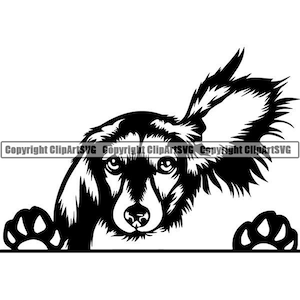 Dachshund #64 Peeking Dog Breed Wire Smooth Long Haired Animal Pedigree Pet Hound Puppy Hot Logo .SVG .PNG Clipart Vector Cricut Cut Cutting
