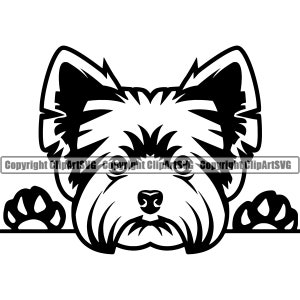 Yorkshire Terrier Yorkie Dog Peeking Peek-A-Boo Breed Happy Face Puppy Animal Pet Art Chihuahua Design Logo PNG SVG Clipart Vector Cut File