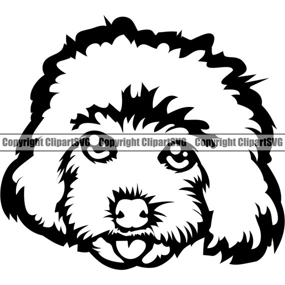 Poodle Dog Breed Head Happy Face Paw Puppy Pup Pet K-9 Art Labradoodle Cockapoo Goldendoodle Artwork Logo SVG PNG Clipart Vector Cut Cutting