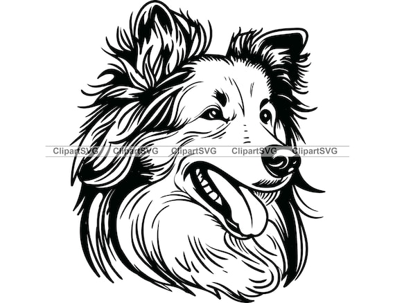 Shetland Sheepdog Smiling Dog Cute Sheltie Puppy Face Canine Pet