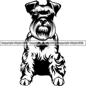 Schnauzer Dog Breed Sit Sitting Happy Smile Paw Puppy Pup Pet Shop Canine K9 Miniature Giant Design Logo SVG PNG Clipart Vector Cut Cutting