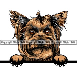 Yorkshire Terrier Dog Breed Head Face Cute Paw Puppy Pup Pet K9 Yorkie Design Element Logo SVG PNG Clipart Vector Cricut Cut Cutting File