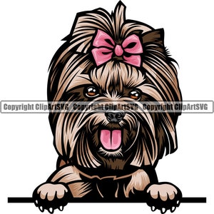 Yorkshire Terrier Yorkie Dog Peeking Peek-A-Boo Breed Happy Face Puppy Animal Pet Color Artwork Chihuahua Design Logo PNG SVG Clipart Vector