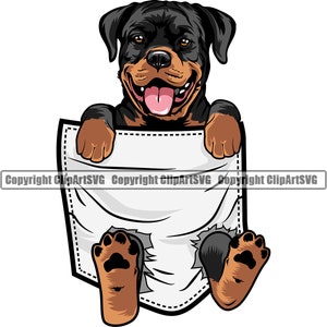 Rottweiler Hunderasse Pfote hängend Shirt Tasche Welpe Welpe Haustier Silhouette Design Element Logo SVG PNG Clipart Vektor Cricut Cut Schneidedatei
