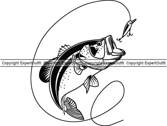 5 weight fly rod and reel combo Lamson Liquid Outfit W/ Fly Line, Leader, and Backing, 9' 6wt main image 0