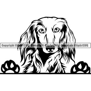 Dachshund #34 Peeking Dog Breed Wire Smooth Long Haired K-9 Animal Pet Hound Puppy Hot Logo .SVG .EPS .PNG Clipart Vector Cricut Cut Cutting
