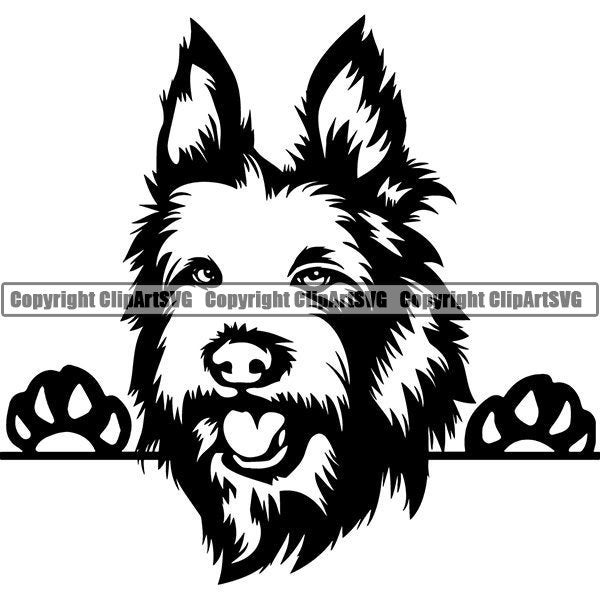 Berger Picard #9 Peeking Dog Smiling Puppy Paws Pedigree Purebred Bloodline Pet Breed Canine Logo.SVG .PNG Clipart Vector Cricut Cut Cutting