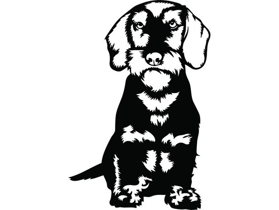 Download Dachshund 54 Puppy Dog Breed Wire Smooth Long Haired K-9 ...