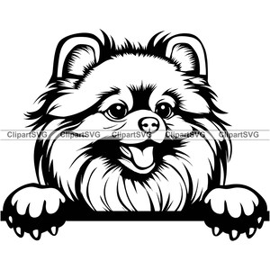 Pommeren glimlachend gluren hond schattige puppy blij gezicht hond huisdier stamboom rasportret pootafdruk tekening kunst logo tattoo ontwerp SVG PNG knippen