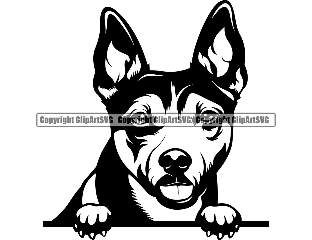 Rat Terrier Dog Breed Peeking Peekaboo Puppy Pup Pet Art Etsy