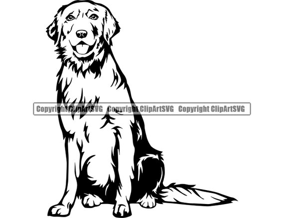 Download Golden Retriever Dog Sit Sitting Breed Happy Puppy Pup Pet Etsy PSD Mockup Templates