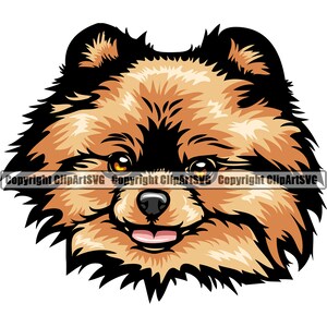 Pomeranian Dog Head Face Race Happy Paw Puppy Pup Pet Art K-9 Maltais Chihuahua Shih Tzu Artwork Logo SVG PNG Clipart Vector Cut Cutting
