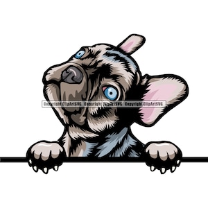 Buldog francuski Rasa psa Peeking Peek-A-Boo Szczeniak rodowodowy Szczeniak Zwierzę domowe Element projektu Logo SVG PNG JPG Clipart Wektor Cricut Cięcie Plik do cięcia