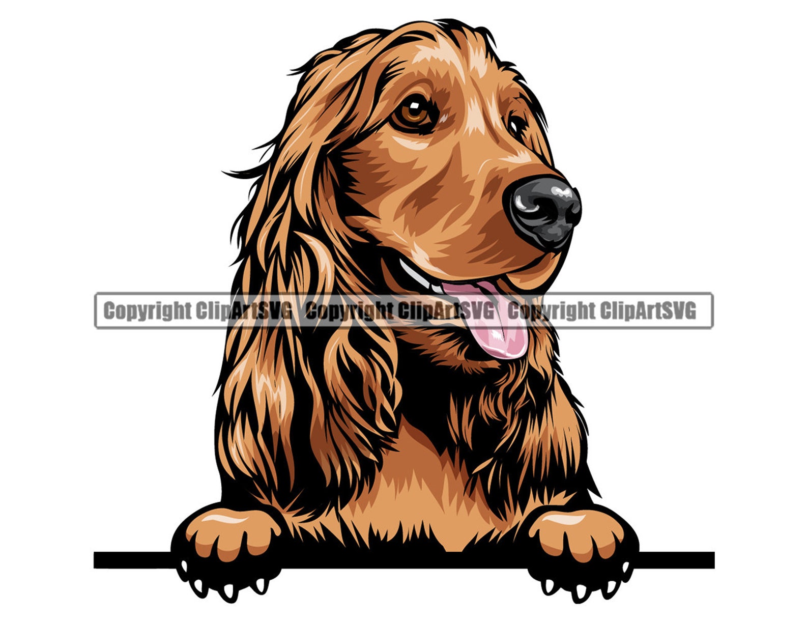 Cocker Spaniel Dog Breed Peeking Peek-A-Boo Face Puppy Pet | Etsy