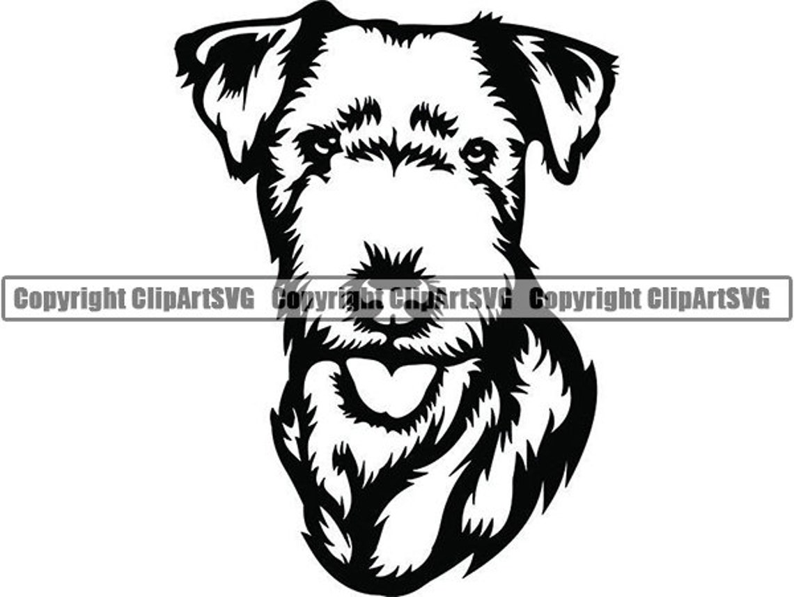 Lakeland Terrier 1 Happy Smiling Dog Pedigree Breed Animal - Etsy