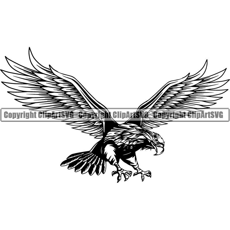 American Bald Eagle Bird Flying Claw Animal Government Law Lawyer School Team Sport Mascot Detailed Logo.SVG .PNG Clipart Vector Cut Cutting