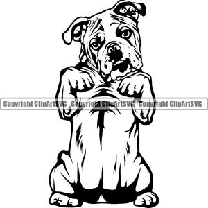 English Bulldog Dog Beg Begging Breed Smiling Happy Paw Puppy Pup Pet Art Cartoon Cute Rescue Logo SVG PNG Clipart Vector Cricut Cut Cutting