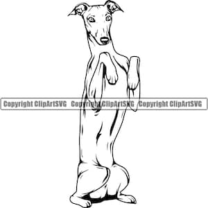 Levriero cane elemosinare razza felice sorriso zampa cucciolo cucciolo animale domestico K-9 canino italiano Saluki Whippet arte logo SVG PNG Clipart vettoriale taglio taglio