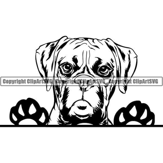 Download Boxer 6 Peeking Dog Breed K 9 Animal Pet Hound Pedigree Etsy PSD Mockup Templates