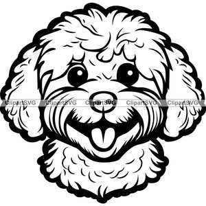Poochon Smiling Dog Cute Puppy Face Canine Pet Bichon Frise Toy Poodle Portrait Paw Print Cartoon Drawing Art Logo Tattoo Design SVG PNG Cut
