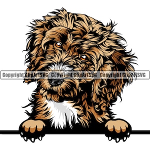 Cockapoo Dog Breed Peeking Peek-A-Boo Happy Puppy Pet Color Artwork Cocker Spaniel Poodle Labradoodle Yorkiepoo Logo PNG SVG Clipart Vector