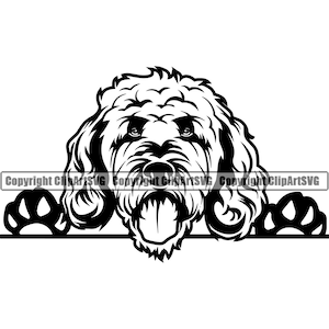 Portugalski pies wodny rasa podglądający chowanego łapa szczeniak szczeniak sztuka dla zwierząt hiszpański irlandzki barbet słodkie dzieło sztuki logo SVG PNG clipart wektor wycięty plik