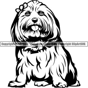 Lhassa Apso Chien Sit Assis Race Chiot Chiot Animal de compagnie Vieux Chien de berger anglais Maltais Shih Tzu Bichon Frise Havanais Logo SVG PNG Clipart Coupe Coupe