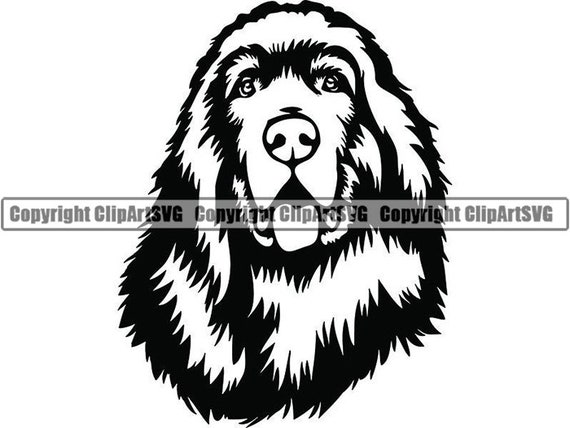 Download Newfoundland 5 Happy Smiling Dog Breed Puppy K 9 Pedigree Etsy PSD Mockup Templates