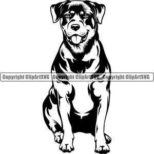 Rottweiler Dog Breed Sit Sitting Animal Pet Canine Pedigree Puppy Purebred Hound Rotty Art Design Logo SVG PNG Clipart Vector Cut Cutting
