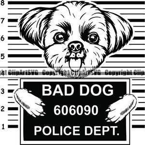 Shih Tzu #38 mauvais chien drôle prison Mugshot race de chien tour Animal animal de compagnie chien chiot Pedigree Logo. SVG. PNG vecteur Clipart Cricut coupe fichier de coupe
