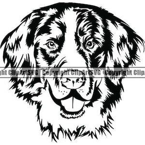 Berner Sennenhund #20 Hund Lächelnd Glücklich Rasse Welpe K-9 Stammbaum Reinrassige Blutlinie Tier Pet Design Logo.SVG .PNG Vektor Cricut Cut Cutting