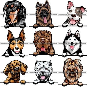 BÜNDEL Hunderassen Spähen Peek-A-Boo Welpe Welpe Hunde Stammbaum Reinrassige Blutlinie Haustier Logo Design SVG PNG Clipart Vektor Cricut Schnitt Schneiden