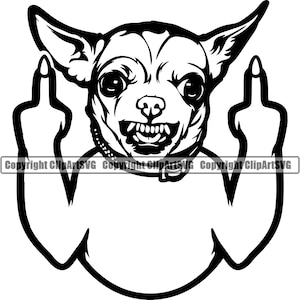 Chihuahua enojado perro loco dedo medio gruñido gruñendo significa cachorro cachorro mascota raza divertido diseño logotipo SVG PNG JPG Clipart Vector Cricut Cut File