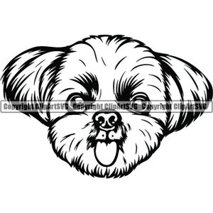 Shih Tzu #12 souriant chien race K-9 jouet groupe tour Animal Pet Hound chiot Pedigree Hound Logo. SVG. PNG vecteur Clipart Cricut coupe coupe fichier