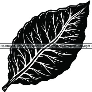 May include: Black and white silhouette of a single leaf with a detailed vein pattern.