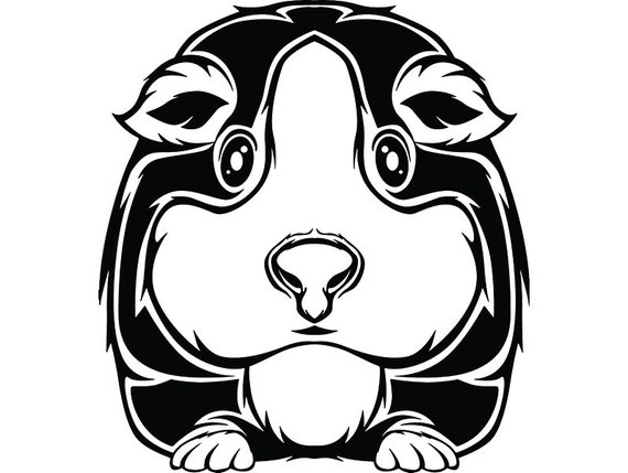Download Guinea Pig 2 Pet Rodent Design Cute Fluffy Cage Domestic ...