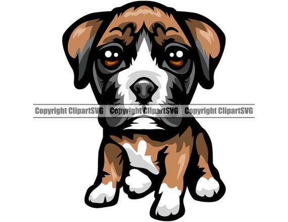 Pedigree boxer puppies hot sale