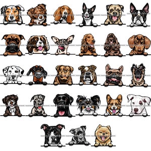BÜNDEL Hunderassen Spähen Peek-A-Boo Welpe Welpe Hunde Stammbaum Reinrassige Blutlinie Haustier Logo Design SVG PNG Clipart Vektor Cricut Schnitt Schneiden