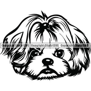 Shih Tzu #22 Champion Dog Race K-9 Toy Group Lap Animal Pet Hound Chiot Pedigree Hound Logo.SVG. PNG Vector Clipart Cricut Cut Cutting File