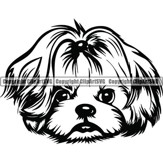 Shih Tzu 22 Champion Dog Breed K 9 Toy Group Lap Animal Pet Hound Puppy Pedigree Hound Logosvg Png Clipart Vector Cricut Cut Cutting File
