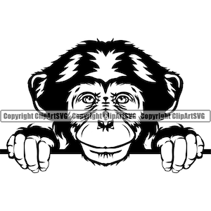 Scimmia scimpanzé sbirciando Gorilla Peek-A-Boo scimmia mascotte testa faccia zoo selvatico animale natura arte design logo SVG PNG Clipart vettoriale taglio taglio