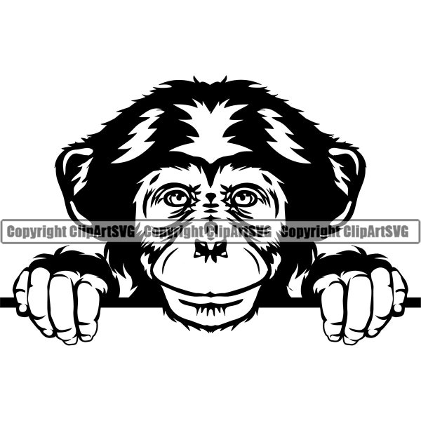 Chimpanzee Monkey Peeking Gorilla Peek-A-Boo Ape Mascot Head Face Wild Zoo Animal Nature Art Design Logo SVG PNG Clipart Vector Cut Cutting